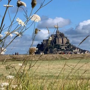 Meet your Posher, Jane